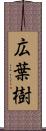 広葉樹 Scroll