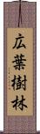 広葉樹林 Scroll