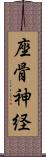 座骨神経 Scroll