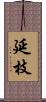 延枝 Scroll