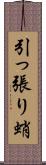 引っ張り蛸 Scroll