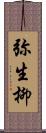 弥生柳 Scroll
