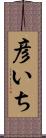 彦いち Scroll