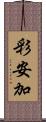 彩安加 Scroll
