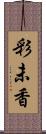 彩未香 Scroll