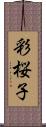 彩桜子 Scroll