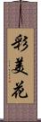 彩美花 Scroll