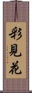 彩見花 Scroll