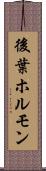 後葉ホルモン Scroll