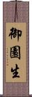 御園生 Scroll