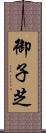 御子芝 Scroll