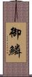 御鱗 Scroll