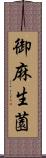 御麻生薗 Scroll