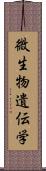 微生物遺伝学 Scroll
