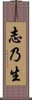 志乃生 Scroll