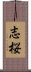 志桜 Scroll