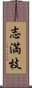 志満枝 Scroll