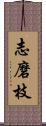 志磨枝 Scroll