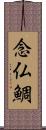 念仏鯛 Scroll
