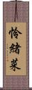 怜緒菜 Scroll