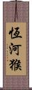 恆河猴 Scroll