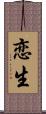 恋生 Scroll