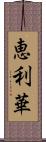 恵利華 Scroll