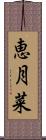 恵月菜 Scroll