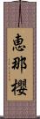 恵那櫻 Scroll