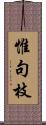 惟句枝 Scroll