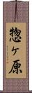 惣ヶ原 Scroll