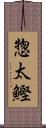 惣太鰹 Scroll