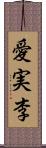 愛実李 Scroll