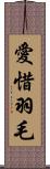 愛惜羽毛 Scroll