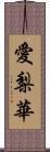 愛梨華 Scroll