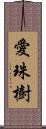 愛珠樹 Scroll