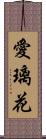 愛璃花 Scroll