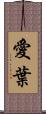 愛葉 Scroll
