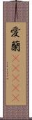 愛蘭(ateji) Scroll