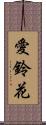 愛鈴花 Scroll