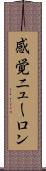 感覚ニューロン Scroll