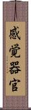 感覚器官 Scroll