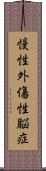 慢性外傷性脳症 Scroll