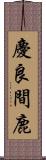 慶良間鹿 Scroll