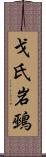 戈氏岩鵐 Scroll