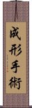 成形手術 Scroll