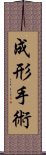 成形手術 Scroll