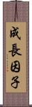 成長因子 Scroll