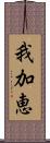 我加恵 Scroll