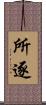 所逐 Scroll
